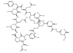 Protein Kinase C γ Peptide