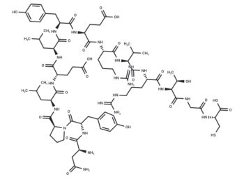 Protein Kinase C γ Peptide