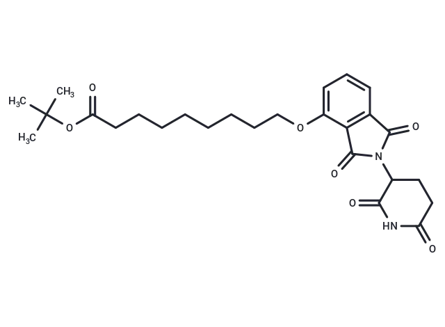 Thalidomide-O-C8-Boc CgoaEGY7Q2uEXALrAAAAALEf9k4942- Immunomart