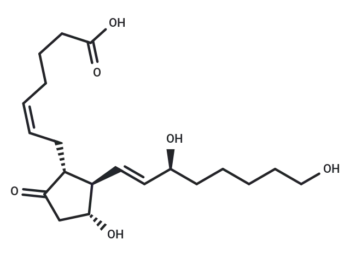 20-hydroxy Prostaglandin E2