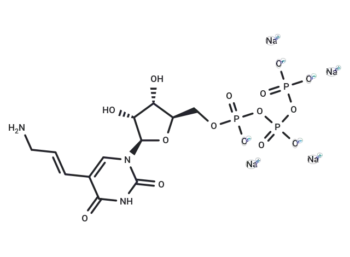 5-(3-Aminoallyl)uridine-5'-O-triphosphate sodium