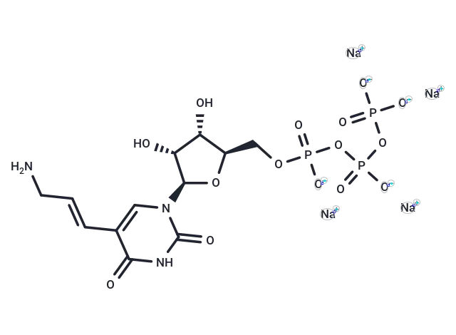 5-(3-Aminoallyl)uridine-5'-O-triphosphate sodium