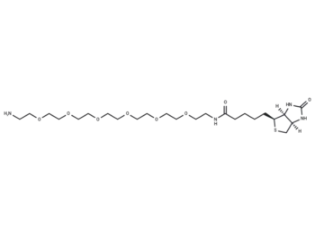 Biotin-PEG6-amine