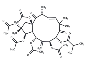 2,3,5,7,8,15-Hexahydroxy-6(17),11-jatrophadiene-9,