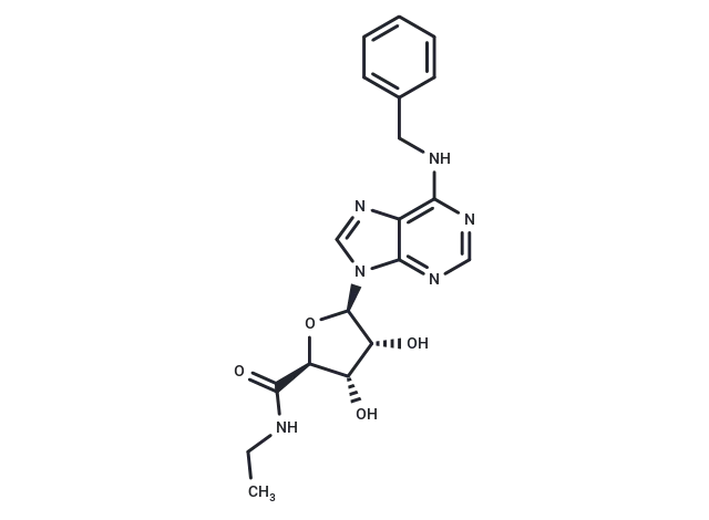 N6-Benzyl-5'-ethylcarboxamido adenosine