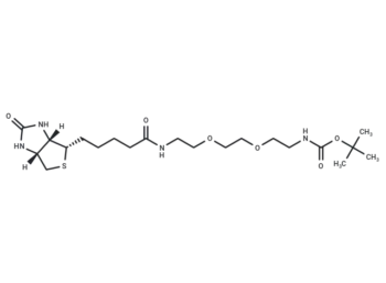 Biotin-PEG2-NH-Boc