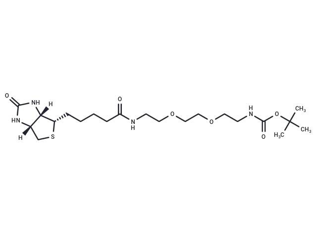 Biotin-PEG2-NH-Boc