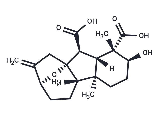 Gibberellin A14 Gibberellin A14