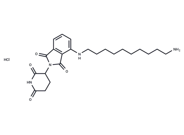 Thalidomide-NH-C10-NH2 hydrochloride CgoaEGY7QAOEGSg3AAAAADBQT8M831- Immunomart