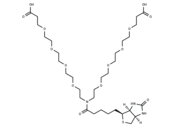 N-Biotin-N-bis(PEG4-acid)