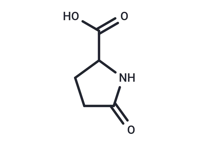 DL-Pyroglutamic acid