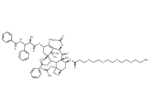 7-O-(Amino-PEG4)-paclitaxel