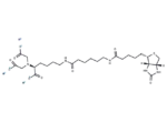 Biotin-X-NTA