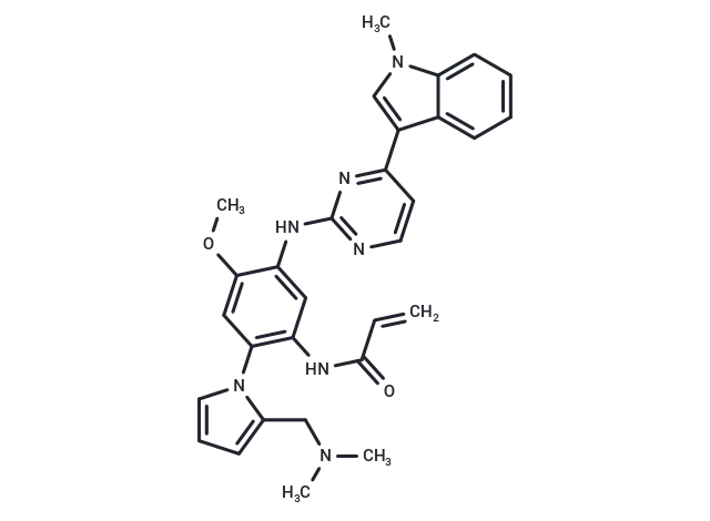 EGFR kinase inhibitor 1