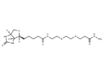 (+)-Biotin-PEG2-hydrazide