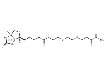 (+)-Biotin-PEG2-hydrazide