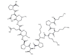 MEK1 Derived Peptide Inhibitor 1