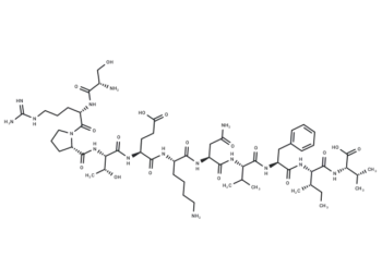 Connexin mimetic peptide 40GAP27