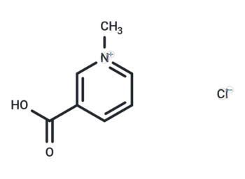Trigonelline chloride
