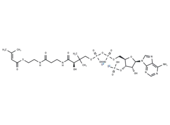 β-Methylcrotonyl coenzyme A lithium