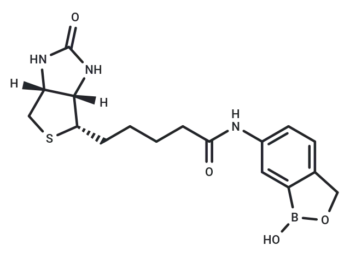 Bio-Ben