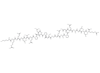EGF-R (661-681) T669 Peptide