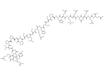 Phospho-Glycogen Synthase Peptide-2(substrate)