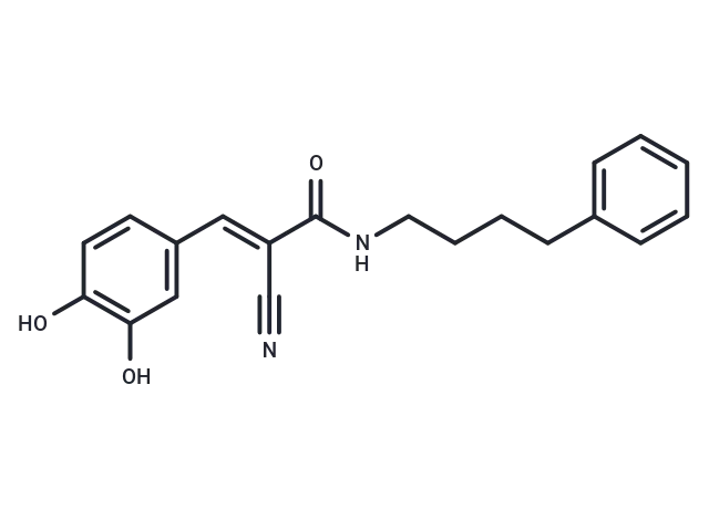 (E)-AG 556 CgoaEGY7Qq2EW D9AAAAAKoFtSw212- Immunomart