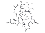 β-Amanitin 1 β-Amanitin