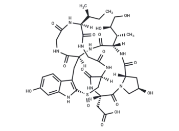 β-Amanitin