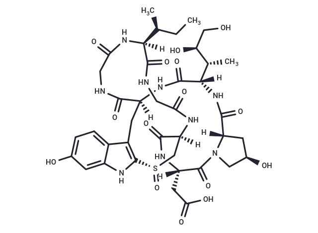 β-Amanitin CgoaEGY7QrmEa4nyAAAAAPZvMyA045- Immunomart