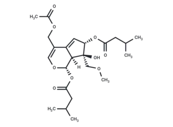 Valeriandoid F