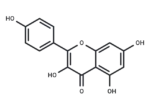 Kaempferol