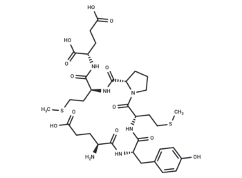 EE epitope