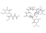 Erythromycin lactobionate