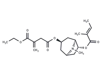 Schizanthine M