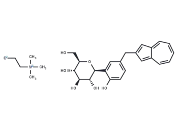 YM-543 choline