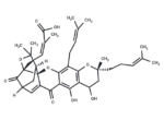 Neogambogic acid