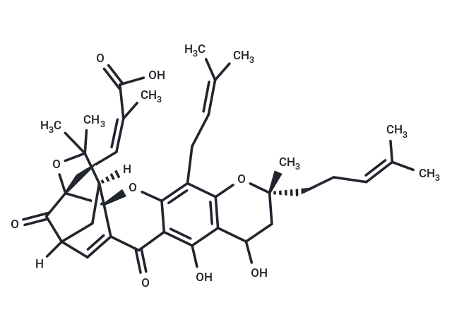 Neogambogic acid
