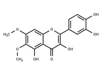 Eupatoletin