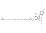 Fluorescein-PEG4-acid 1 Fluorescein-PEG4-acid