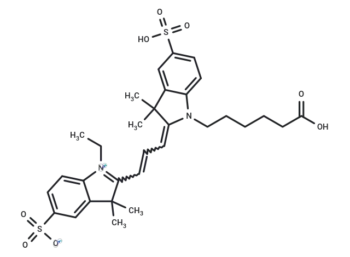 CY3