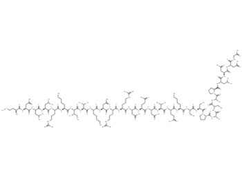 Rabies Virus Matrix Protein Fragment(RV-MAT)