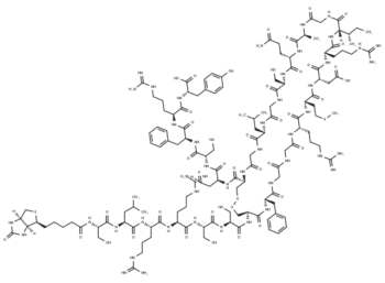 Atrial Natriuretic Peptide (1-28), human, porcine, Biotin-labeled