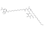 C12 NBD Galactosylceramide