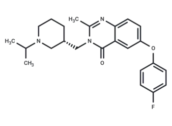 YIL 781