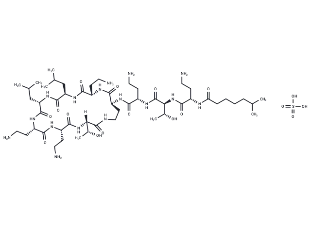 Polymyxin E2 sulfate