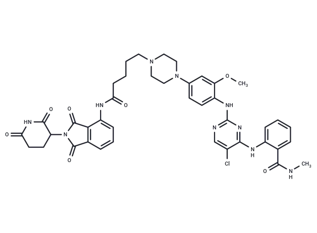 FAK PROTAC B5 CgoaEGY7RTiEYvU8AAAAAFhzh 0835- Immunomart