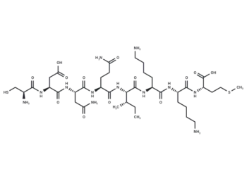 P34cdc2 Kinase Fragment