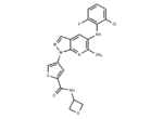 JNK3 inhibitor-1